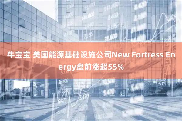 牛宝宝 美国能源基础设施公司New Fortress Energy盘前涨超55%