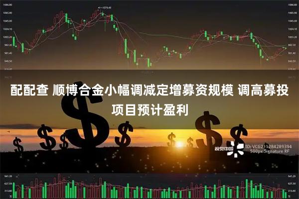 配配查 顺博合金小幅调减定增募资规模 调高募投项目预计盈利
