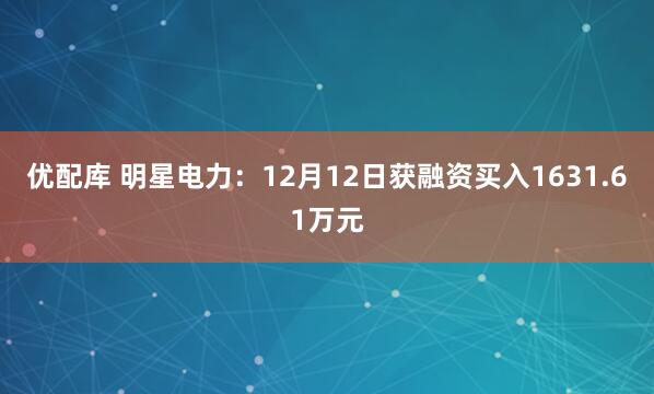 优配库 明星电力：12月12日获融资买入1631.61万元