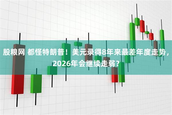 股粮网 都怪特朗普！美元录得8年来最差年度走势，2026年会继续走弱？