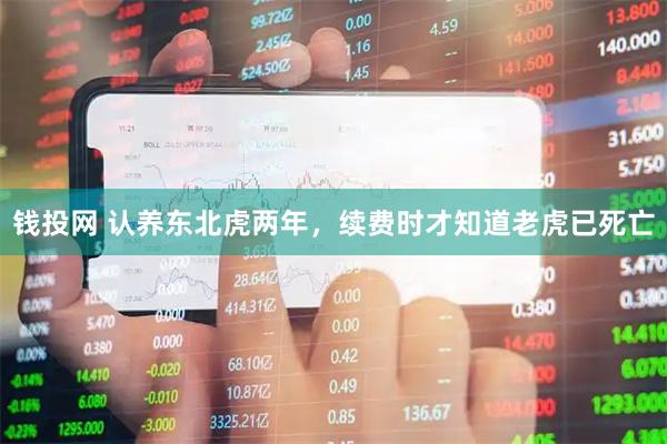 钱投网 认养东北虎两年，续费时才知道老虎已死亡